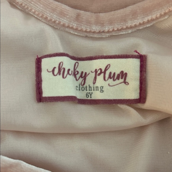 Cheeky Plum Blush Velvet Leotard - Picture 2 of 4